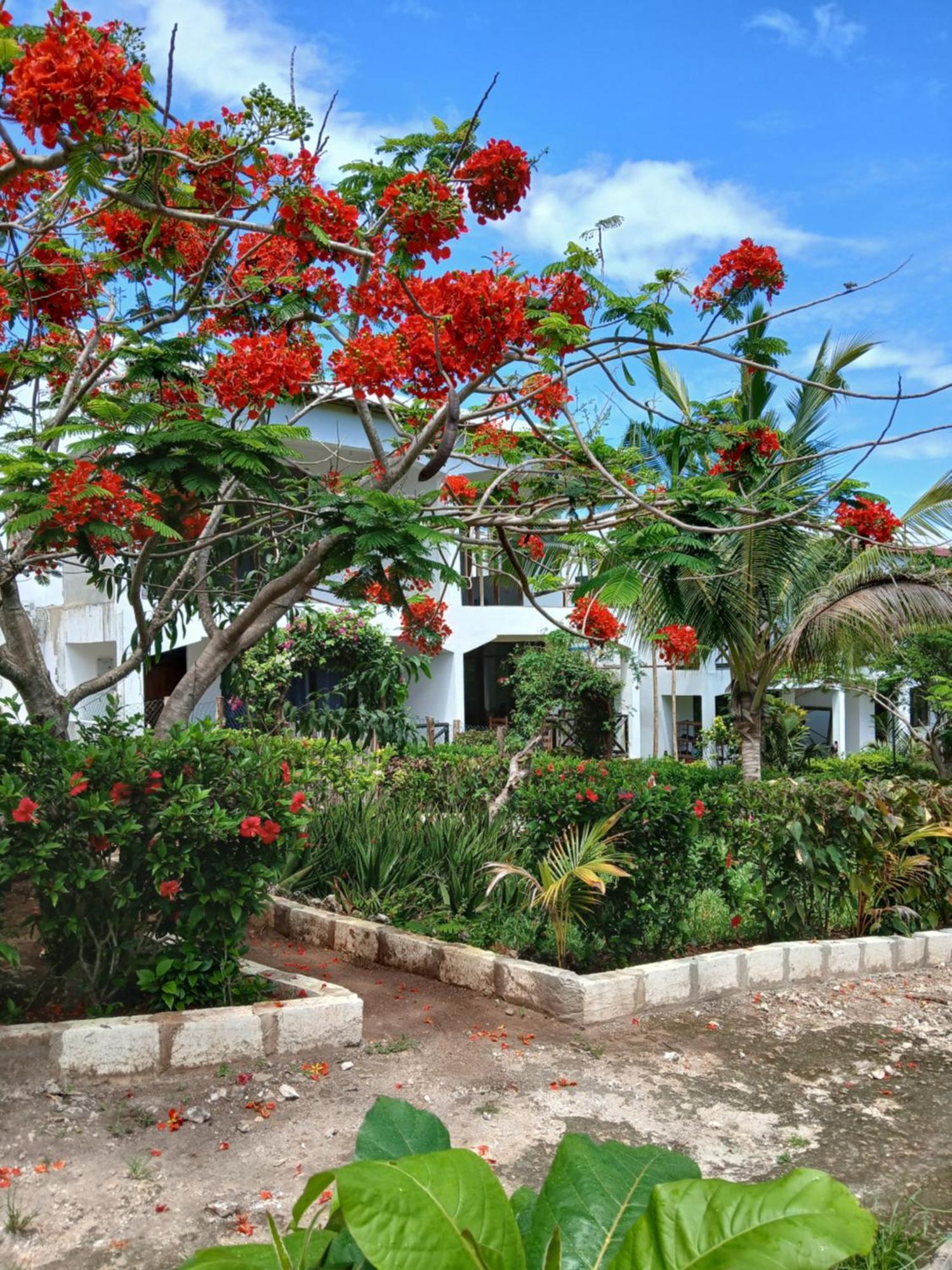 Villa Majani Breeze à Nungwi Extérieur photo