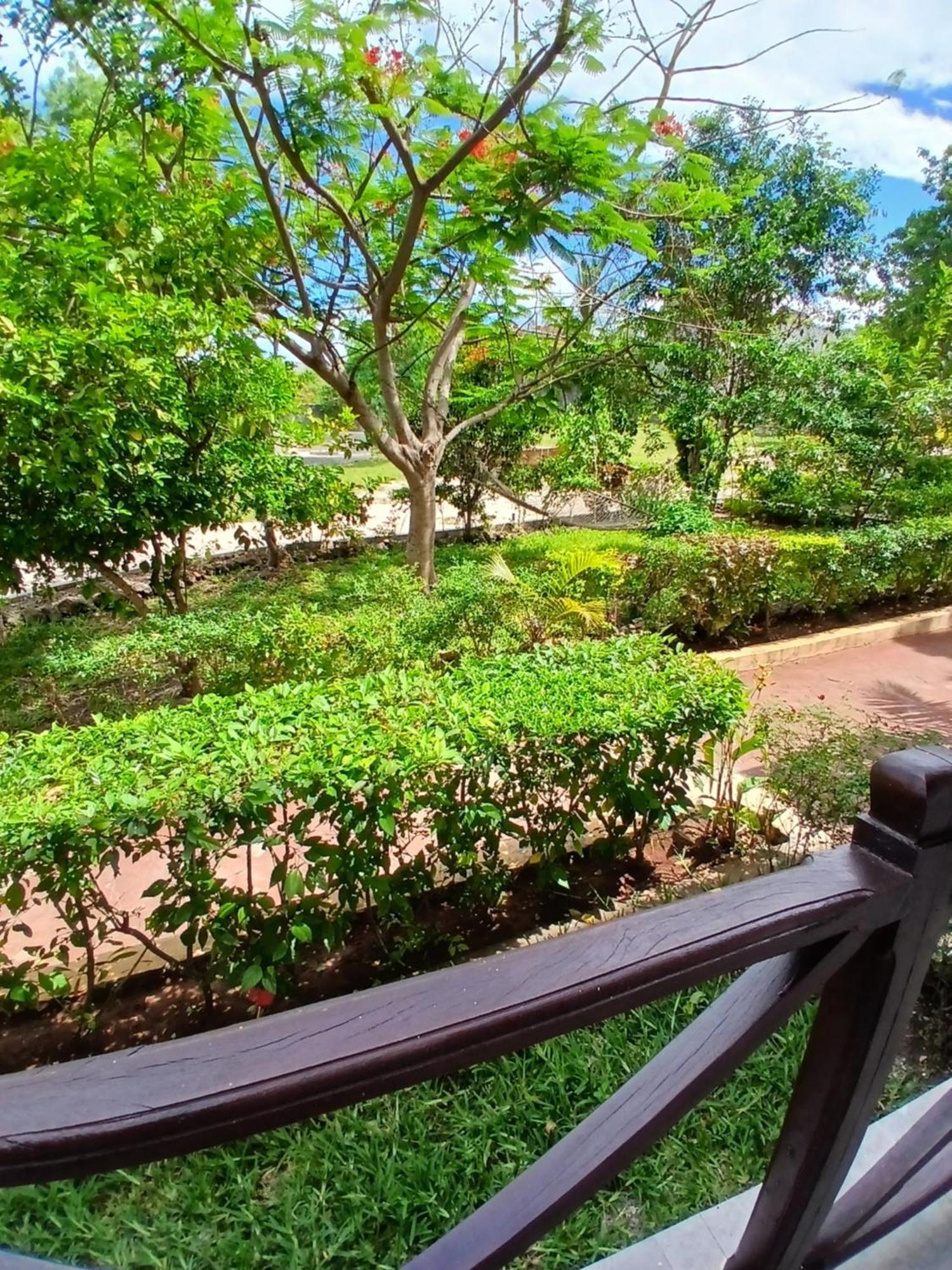 Villa Majani Breeze à Nungwi Extérieur photo