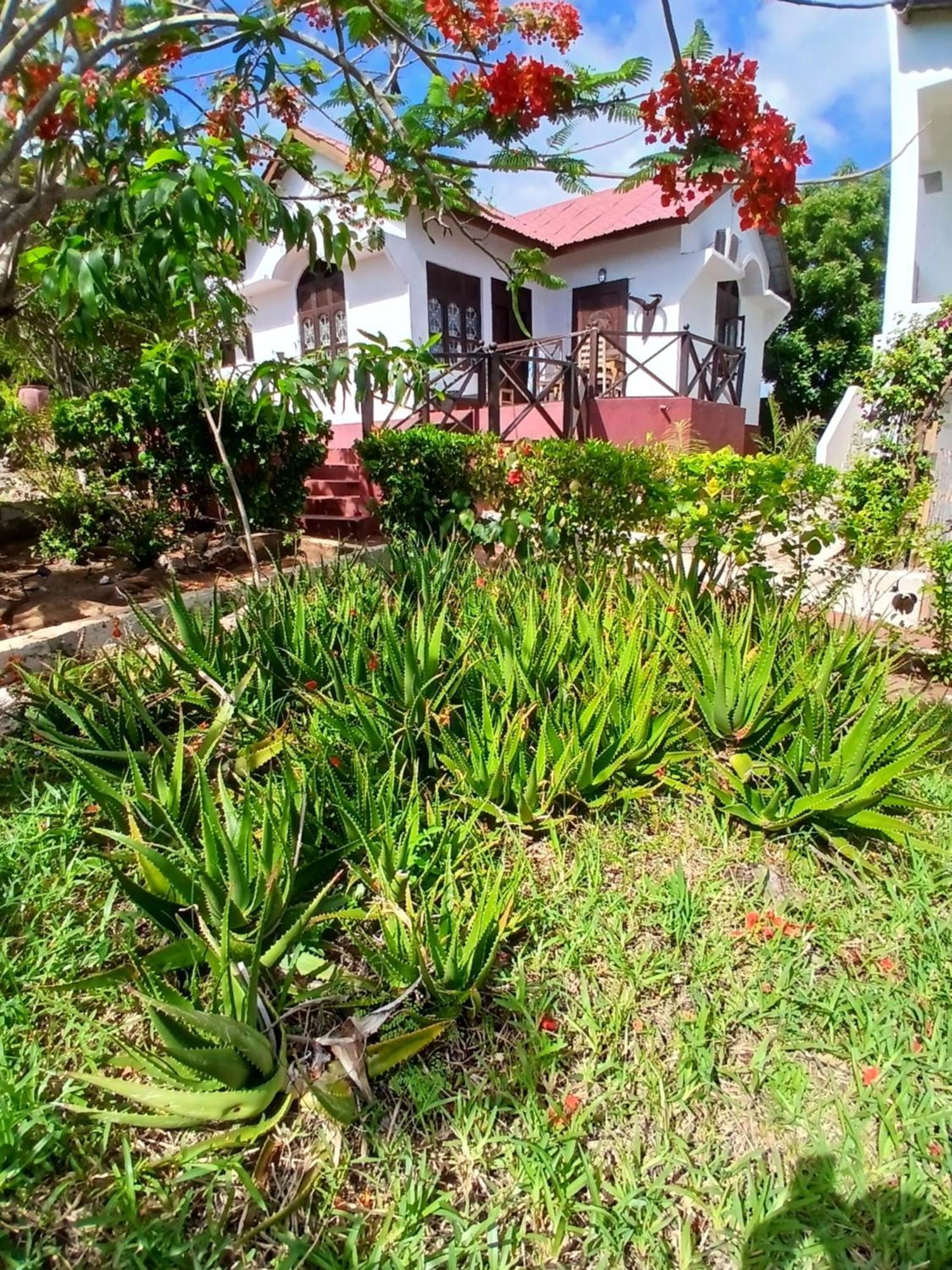 Villa Majani Breeze à Nungwi Extérieur photo