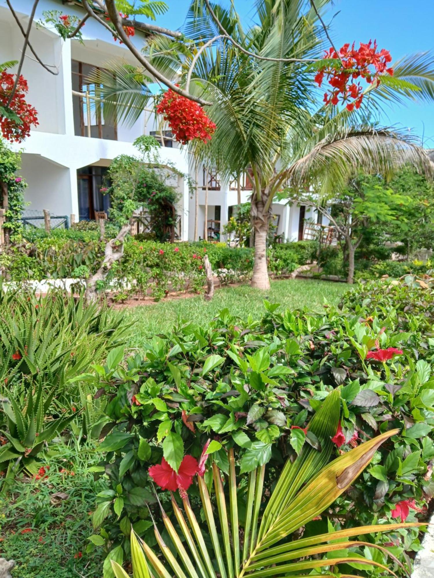 Villa Majani Breeze à Nungwi Extérieur photo