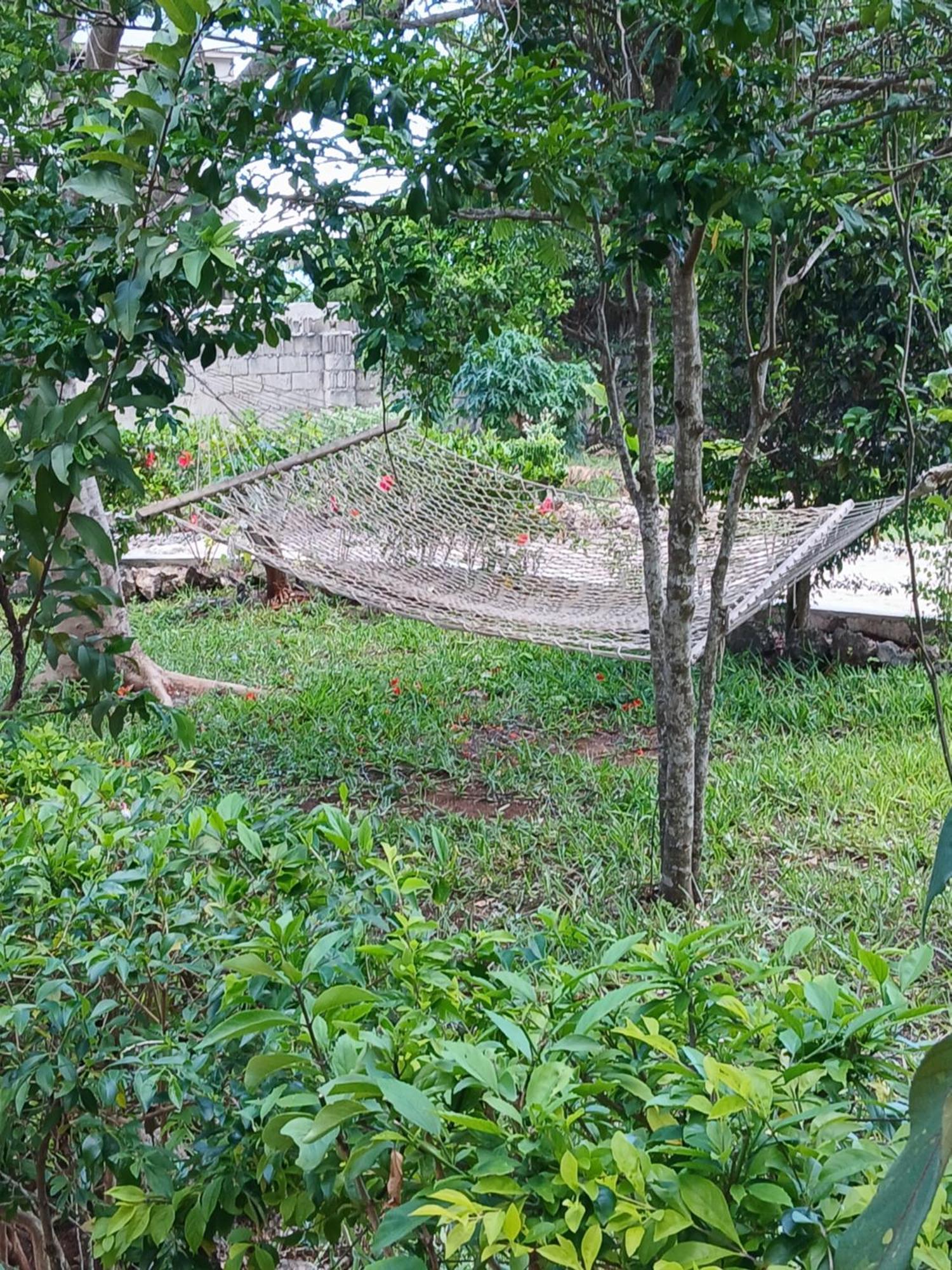 Villa Majani Breeze à Nungwi Extérieur photo