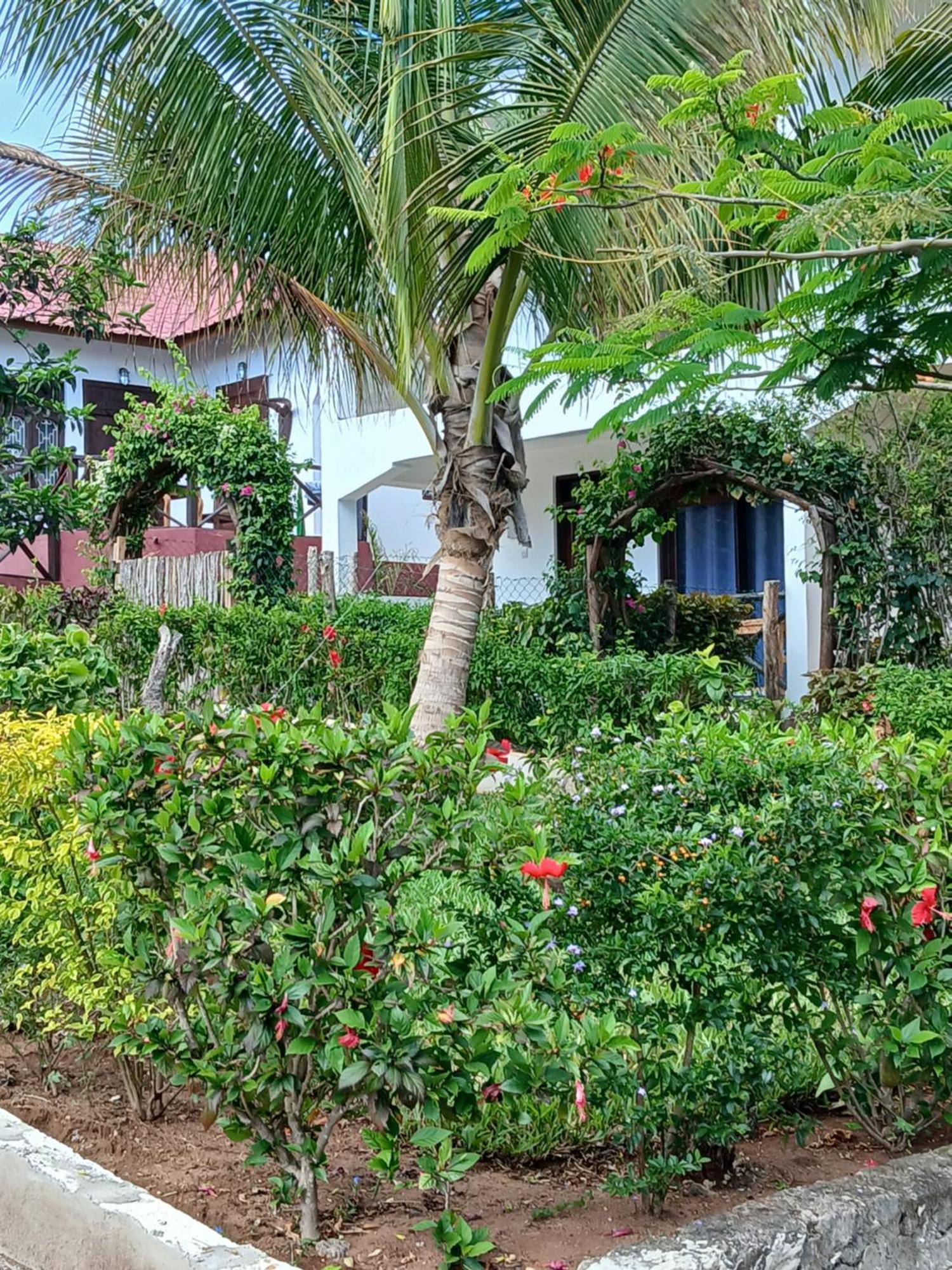 Villa Majani Breeze à Nungwi Extérieur photo