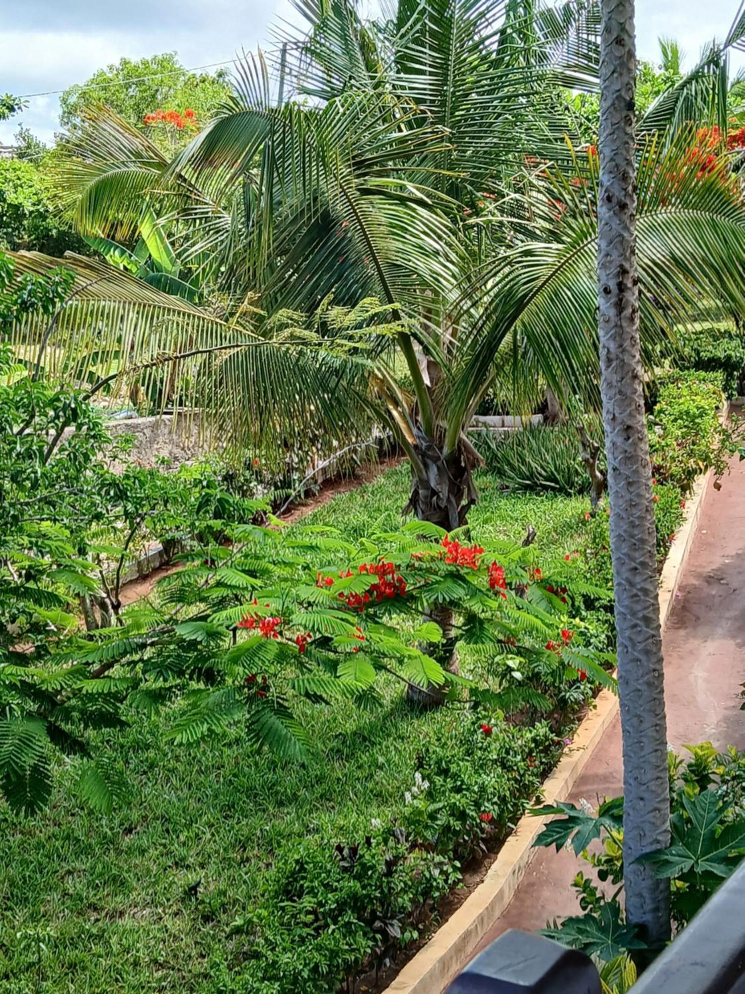 Villa Majani Breeze à Nungwi Extérieur photo